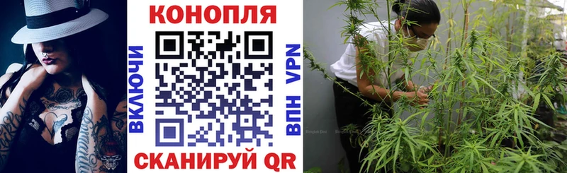 Бошки марихуана OG Kush  Купить закладки  Амурск 